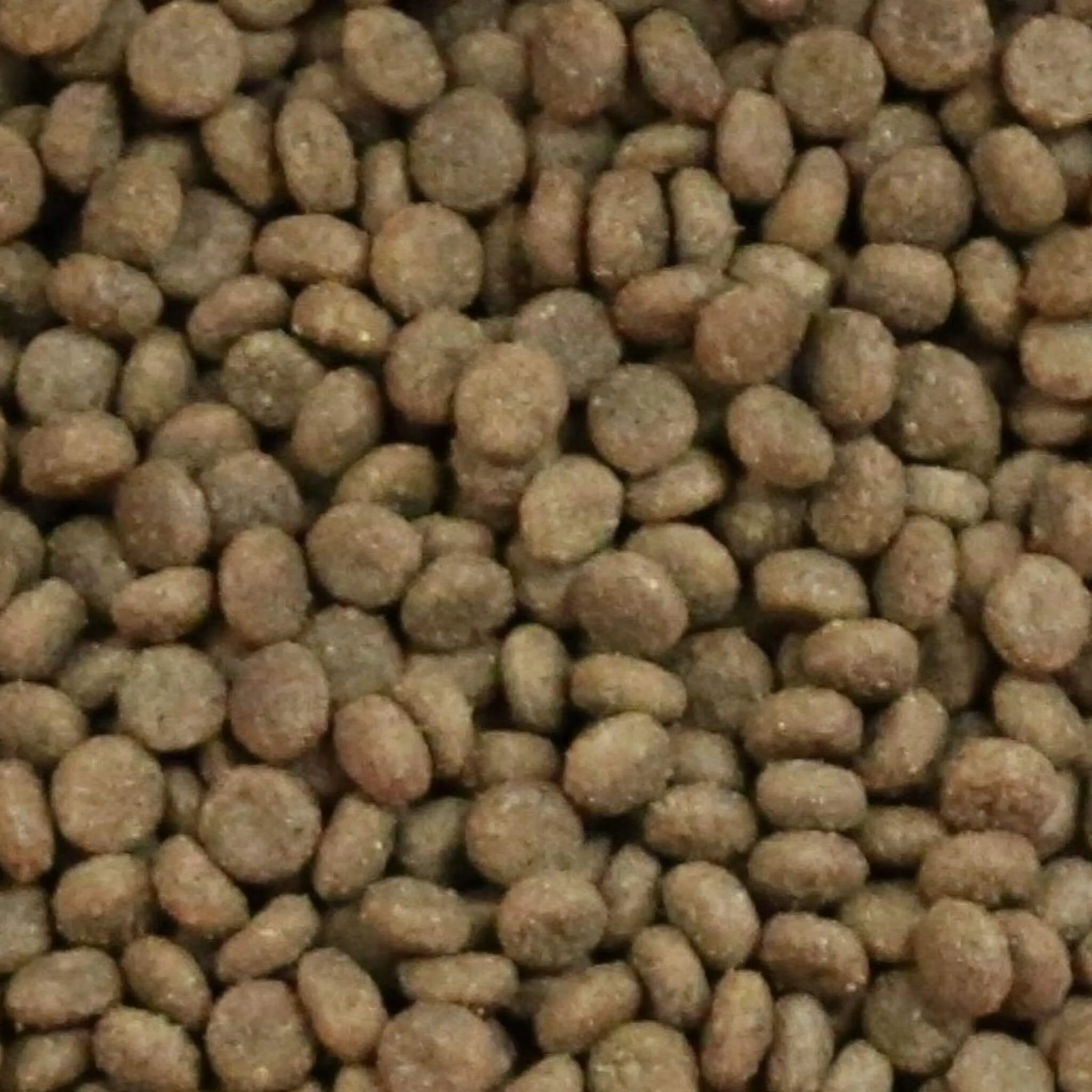 Bundle Pack of 2 x  Vetalogica Naturals Grain Free Lamb Adult Dog Food 3kg