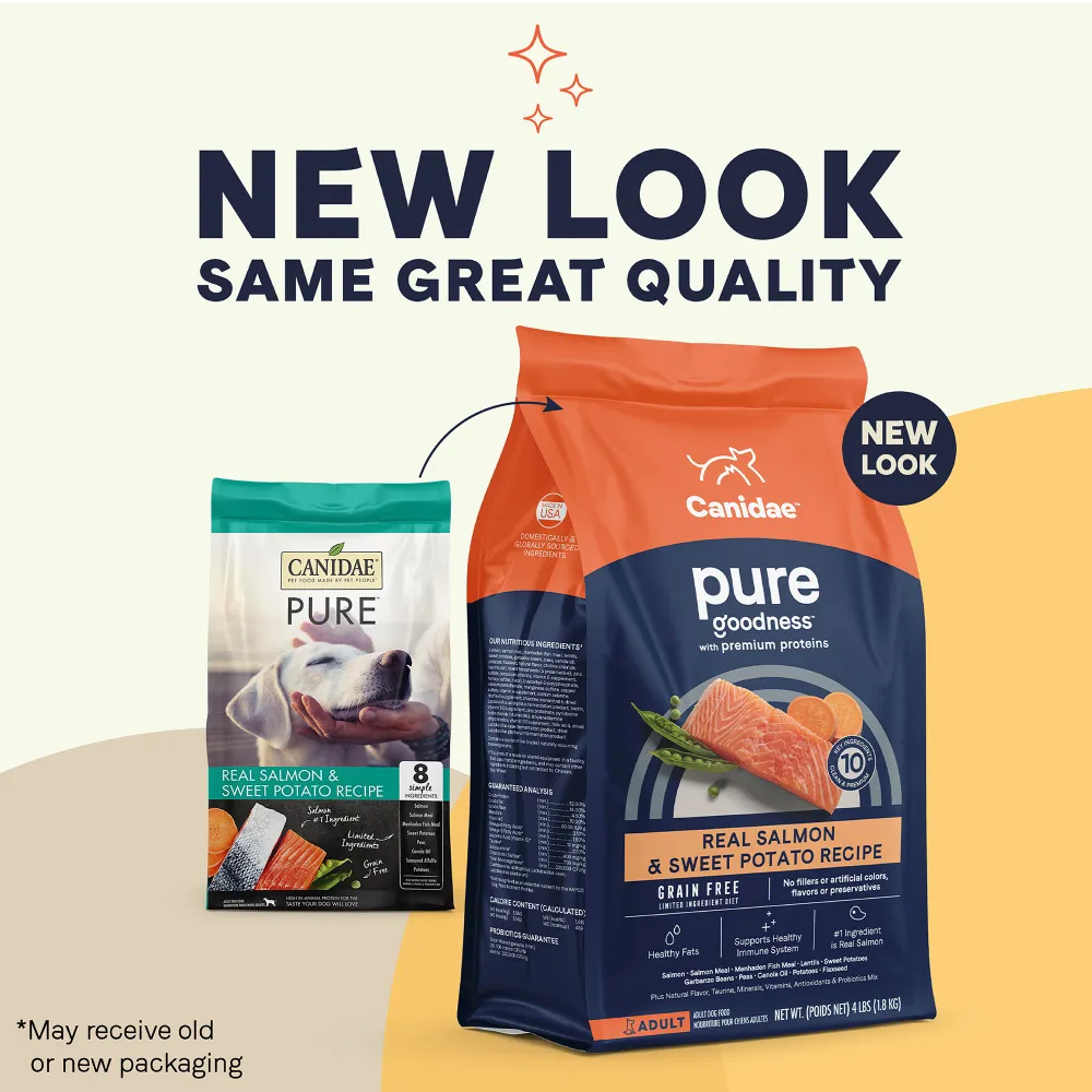 Canidae Pure Goodness Real Salmon & Sweet Potato Recipe Adult Dry Dog