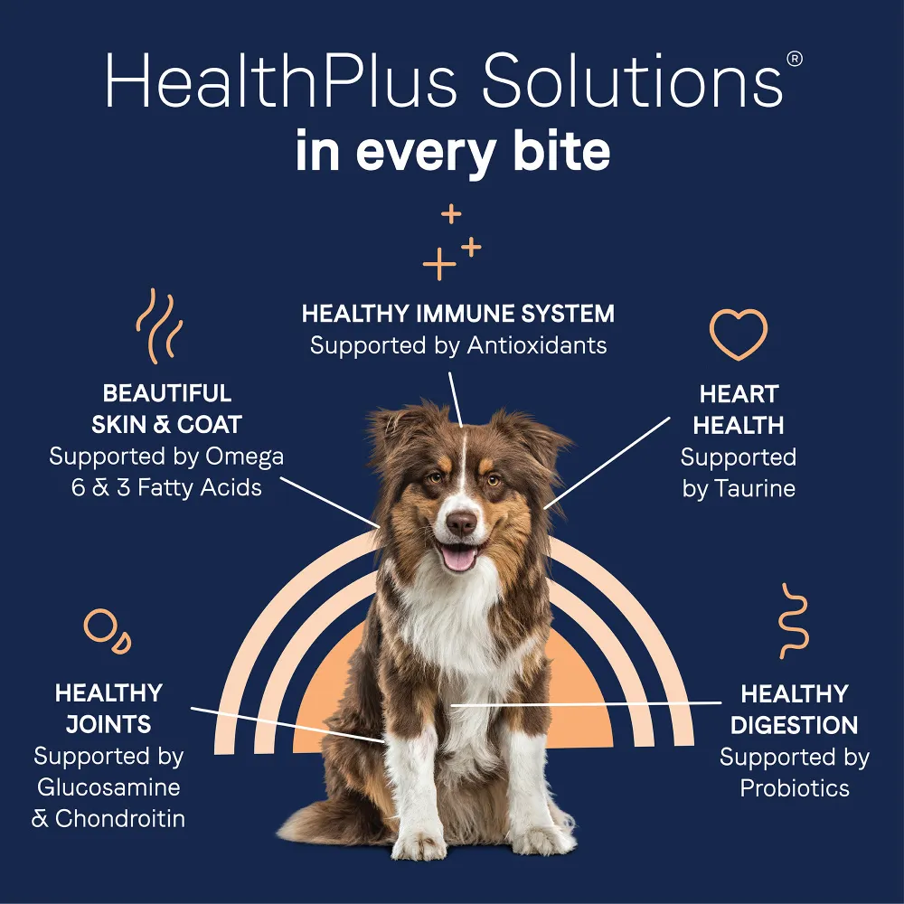 Canidae Pure Goodness Real Salmon & Sweet Potato Recipe Adult Dry Dog