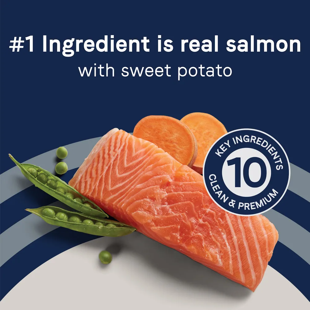 Canidae Pure Goodness Real Salmon & Sweet Potato Recipe Adult Dry Dog