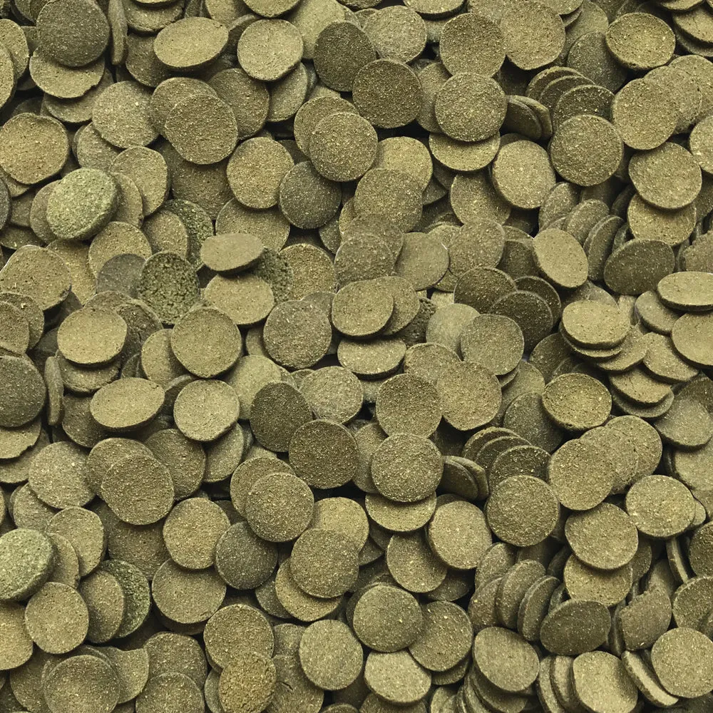 Fluval Bug Bites Algae Crisps 1.41 oz