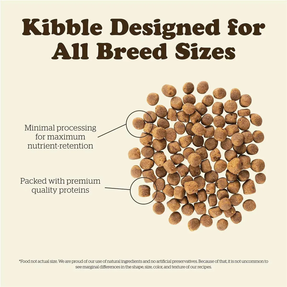 Now Fresh - Grain Free Red Meat Recipe Adult Dog Food - Lamb & Pork