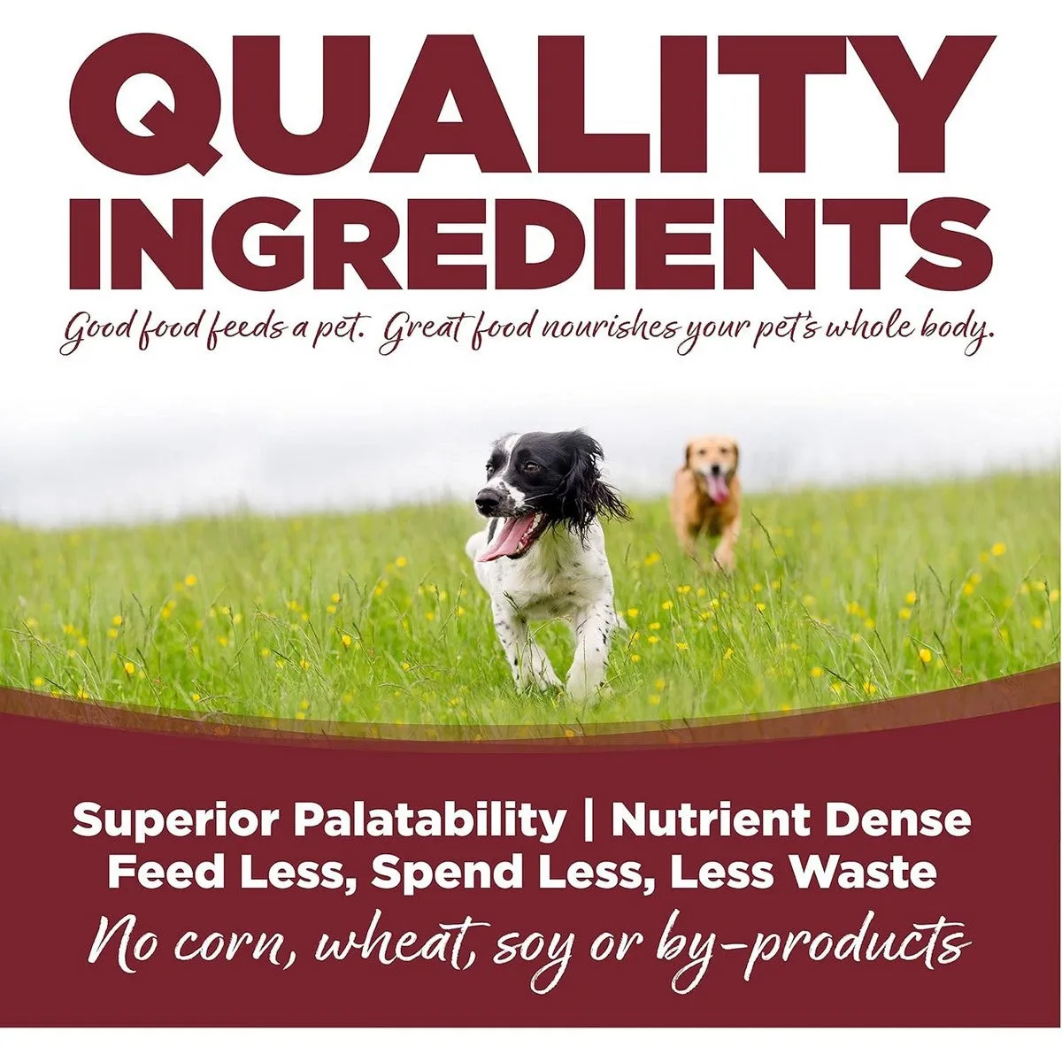 NutriSource Beef & Rice Healthy Dry Dog Food 4lb