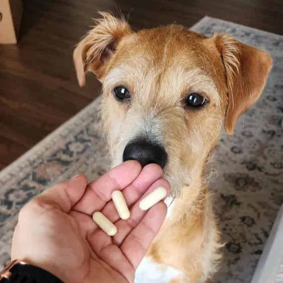 OMEGA-3 FOR DOGS