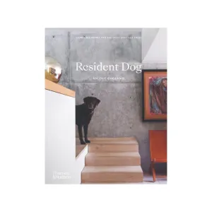 Resident Dog