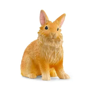 Scheich Lionhead Rabbit