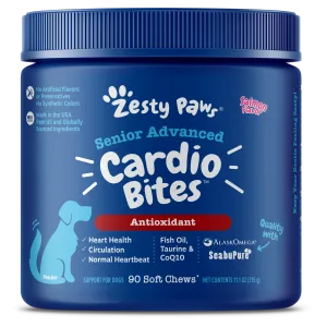 Senior Advanced Cardio Bites