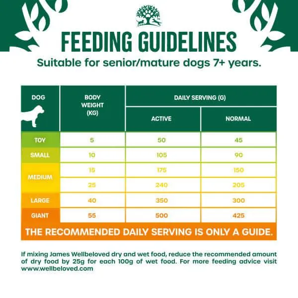 Senior Chicken & Rice Dry Dog Food
