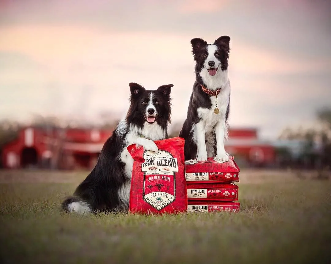 Stella and Chewy's Red Meat Grain-Free Raw Blend Baked Kibble Dry Dog Food
