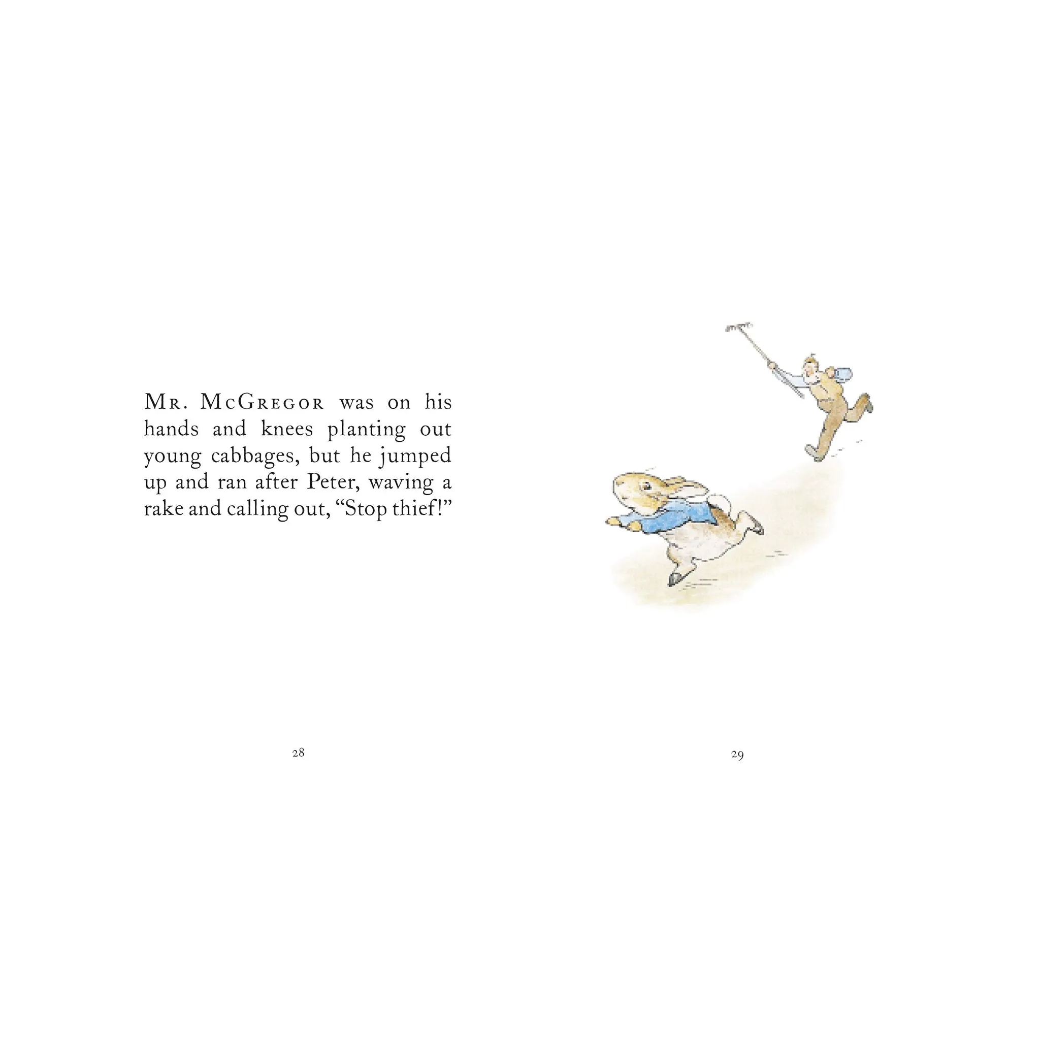The Tale of Peter Rabbit Book