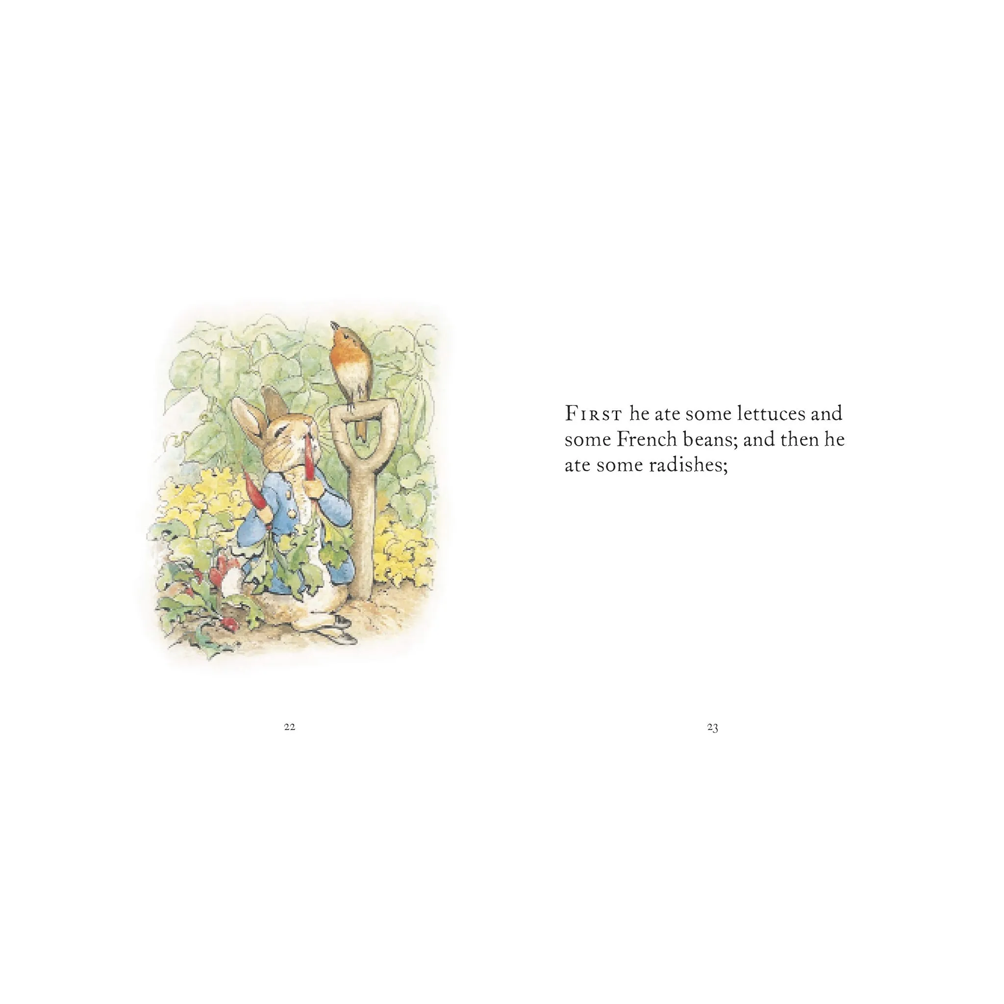 The Tale of Peter Rabbit Book
