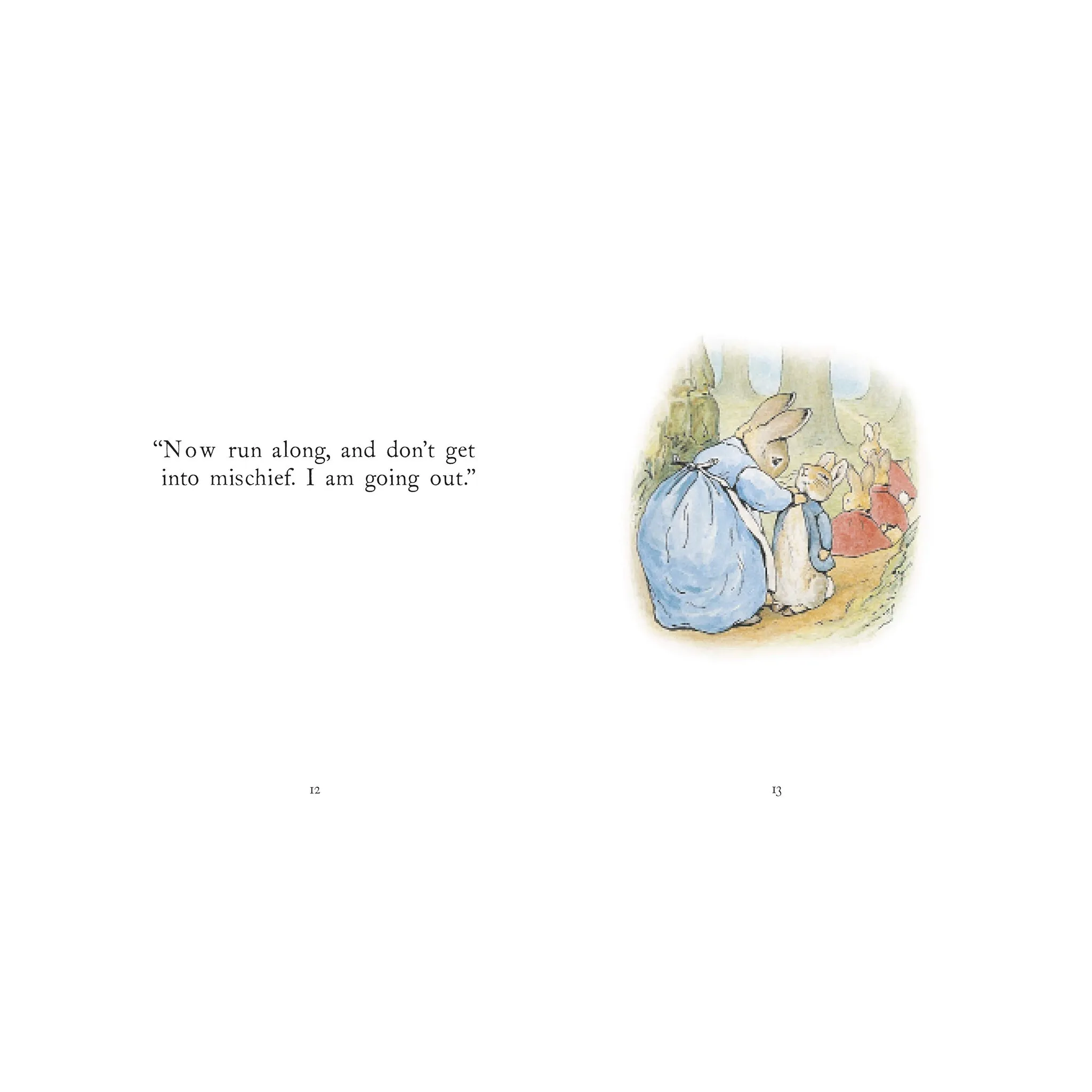 The Tale of Peter Rabbit Book