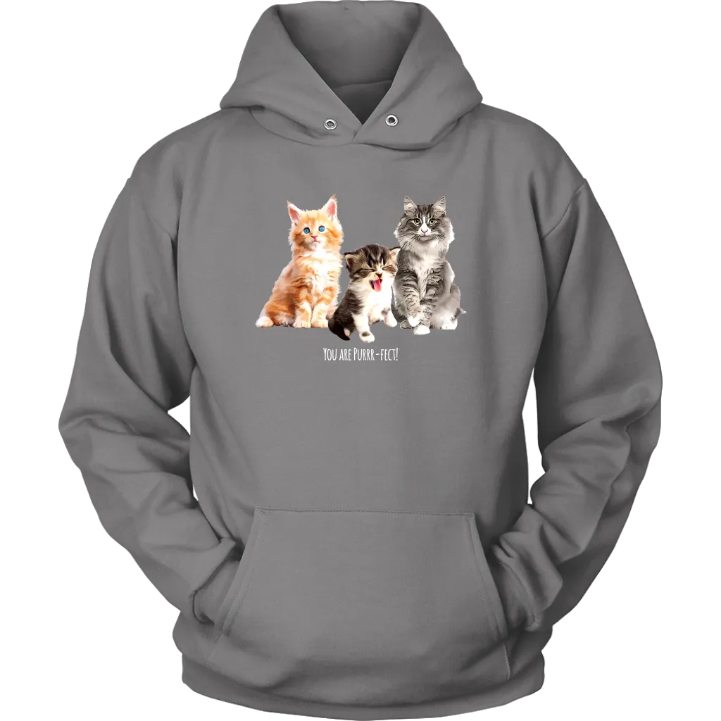 You are Purrr-Fect! Unisex Hoodie