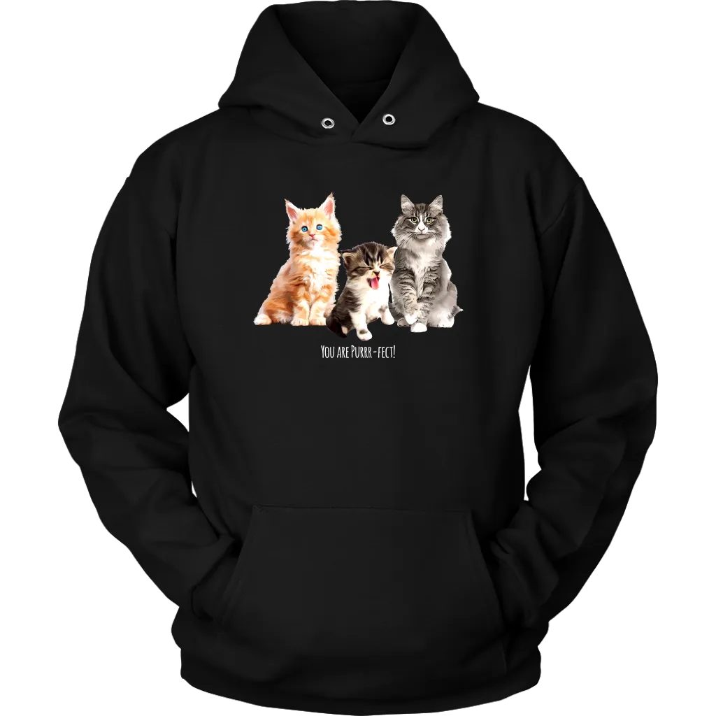 You are Purrr-Fect! Unisex Hoodie