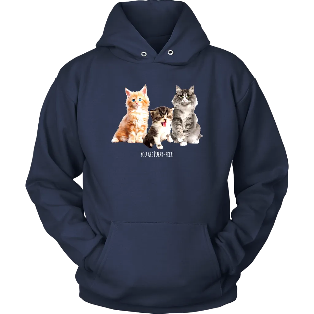 You are Purrr-Fect! Unisex Hoodie