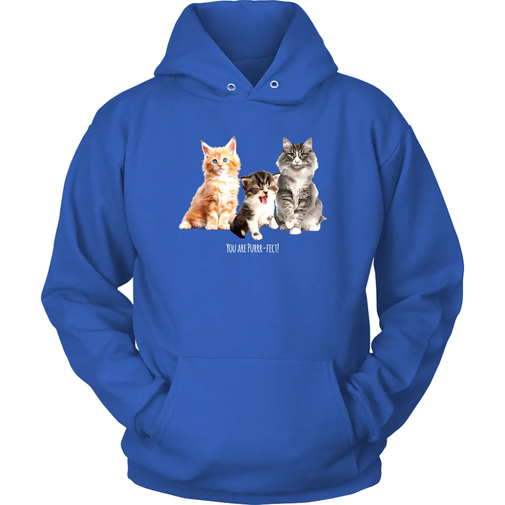 You are Purrr-Fect! Unisex Hoodie