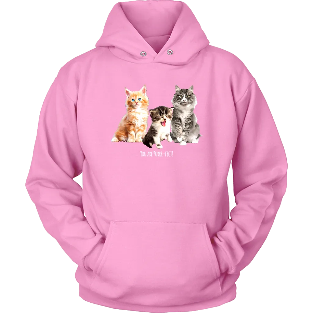 You are Purrr-Fect! Unisex Hoodie