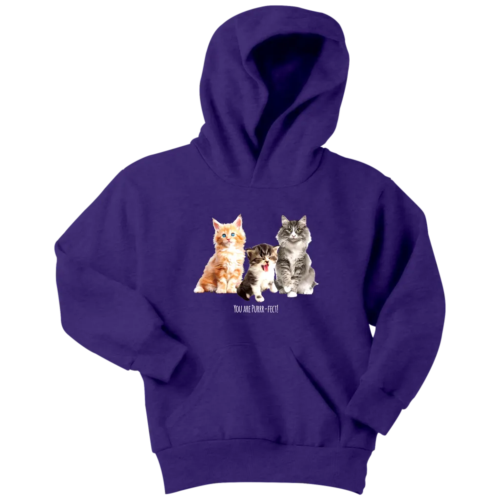 You are Purrr-Fect! Youth Hoodie