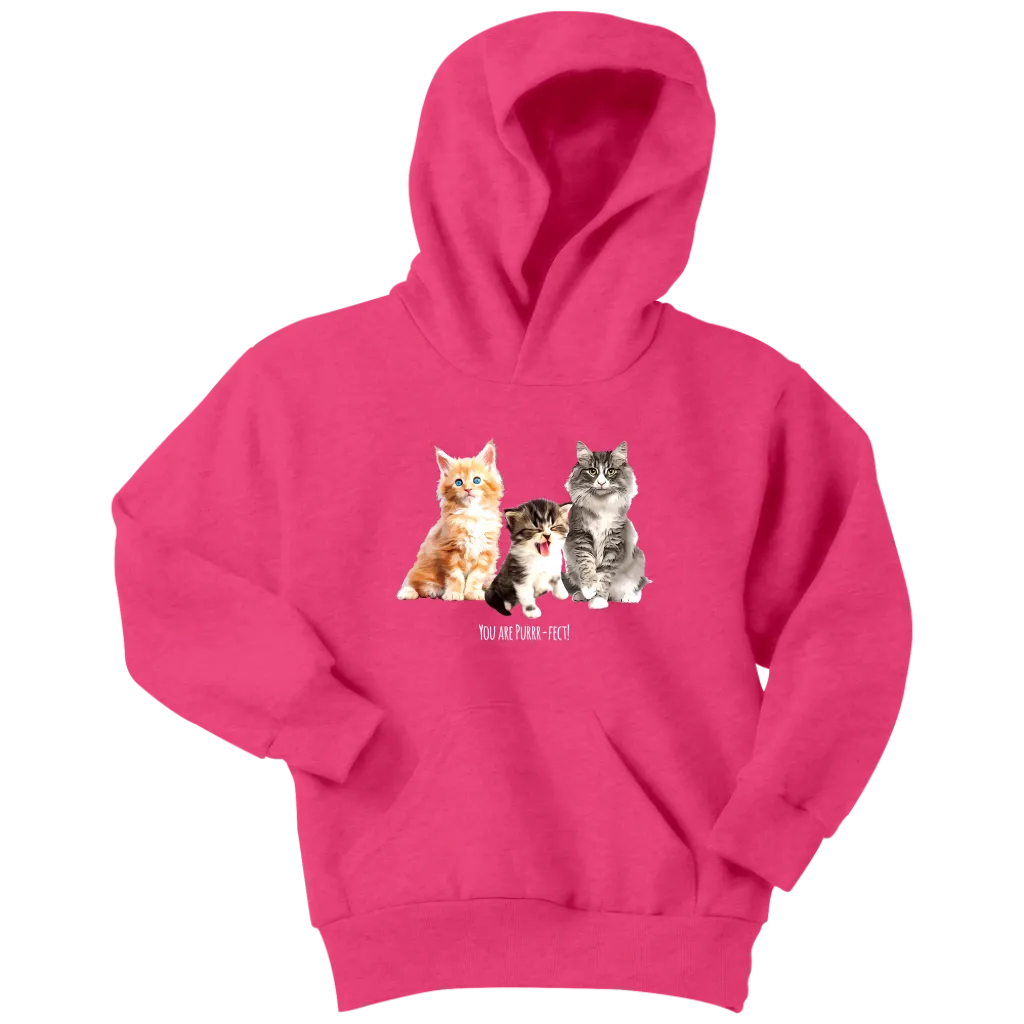 You are Purrr-Fect! Youth Hoodie