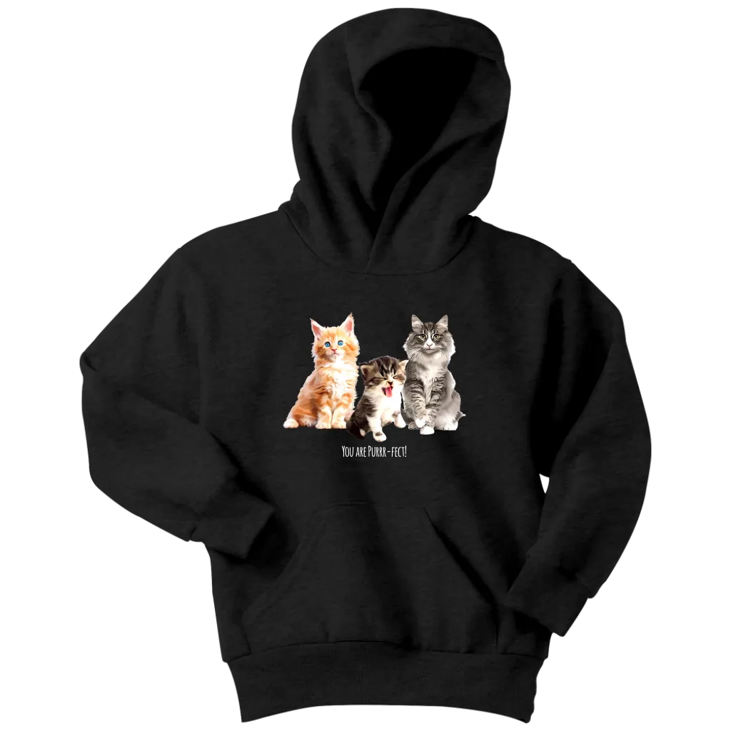 You are Purrr-Fect! Youth Hoodie