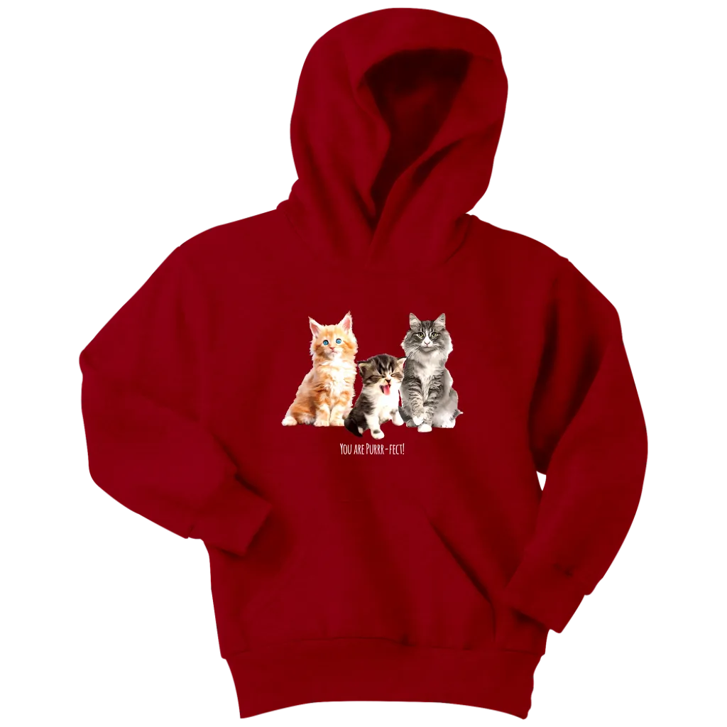 You are Purrr-Fect! Youth Hoodie