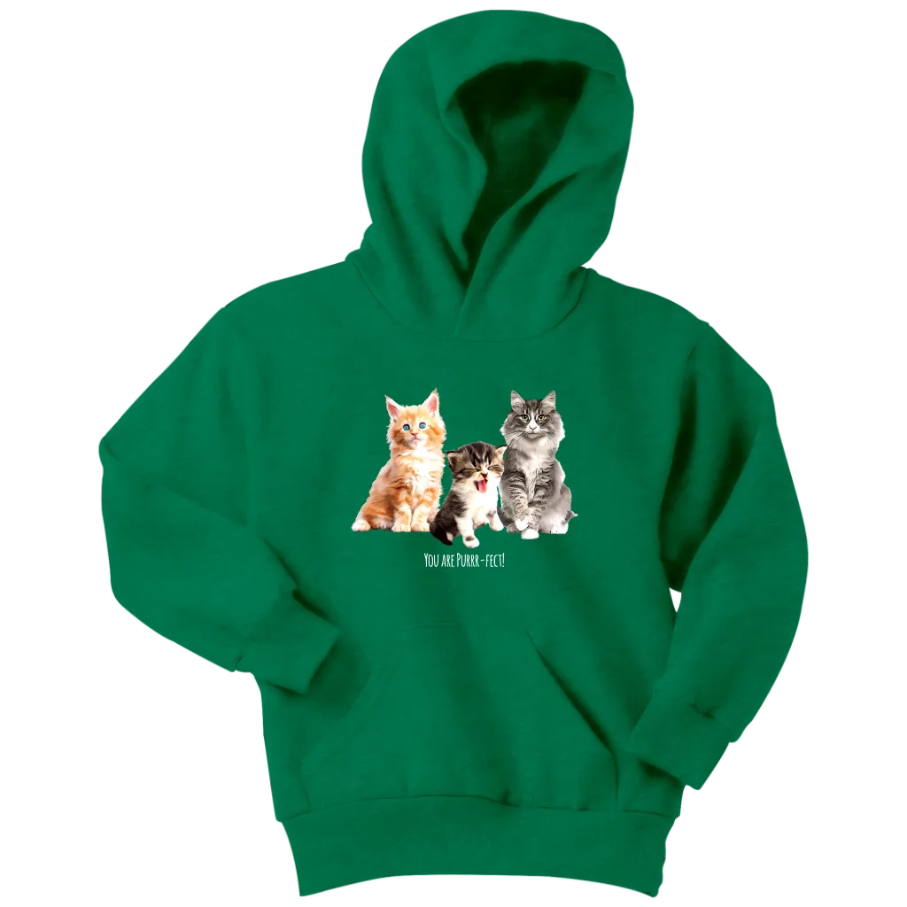 You are Purrr-Fect! Youth Hoodie