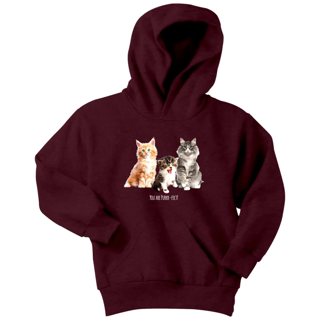 You are Purrr-Fect! Youth Hoodie