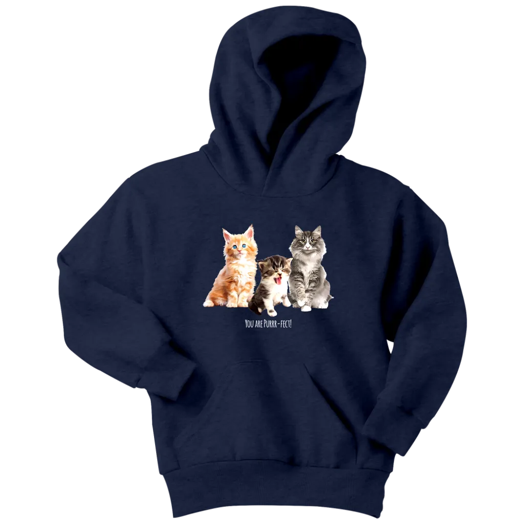 You are Purrr-Fect! Youth Hoodie