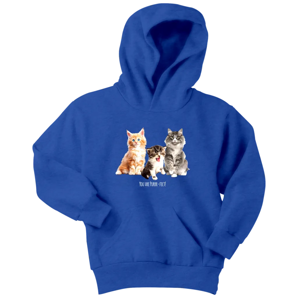 You are Purrr-Fect! Youth Hoodie