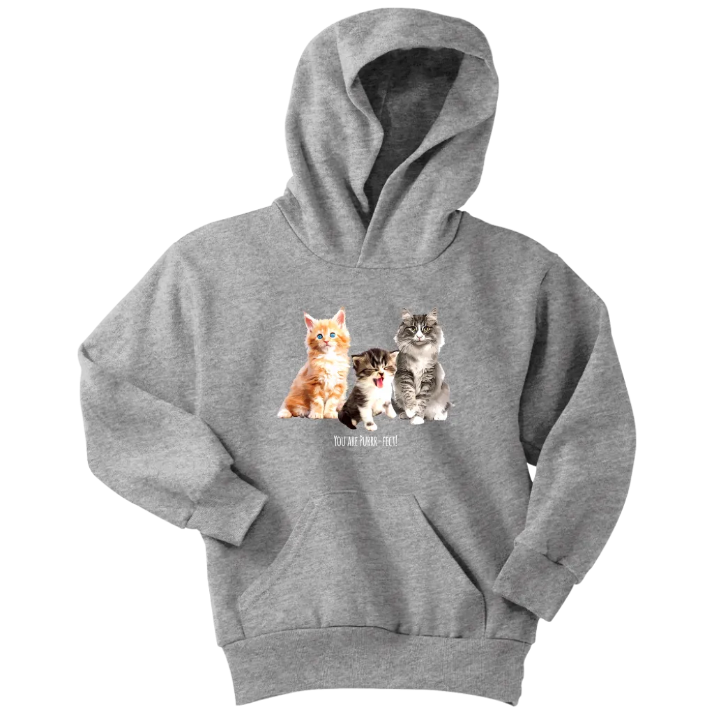 You are Purrr-Fect! Youth Hoodie