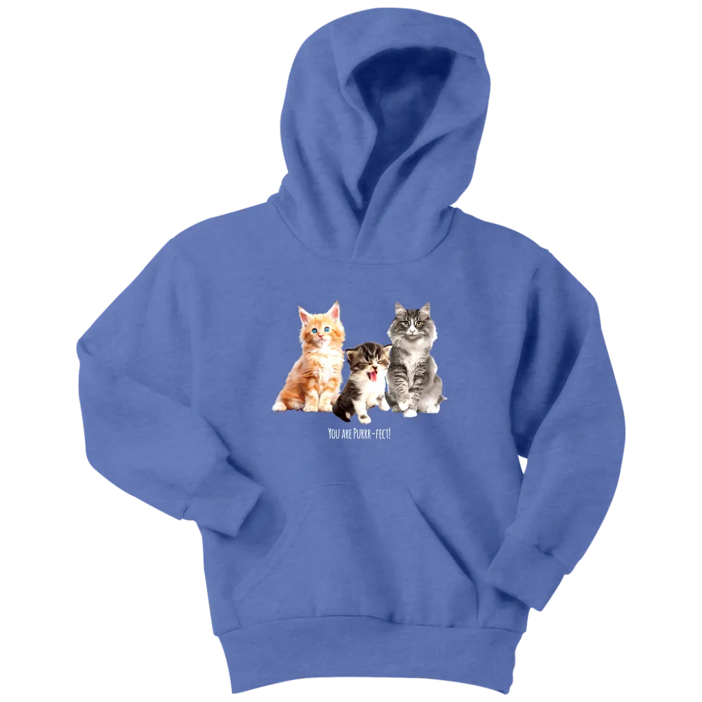 You are Purrr-Fect! Youth Hoodie